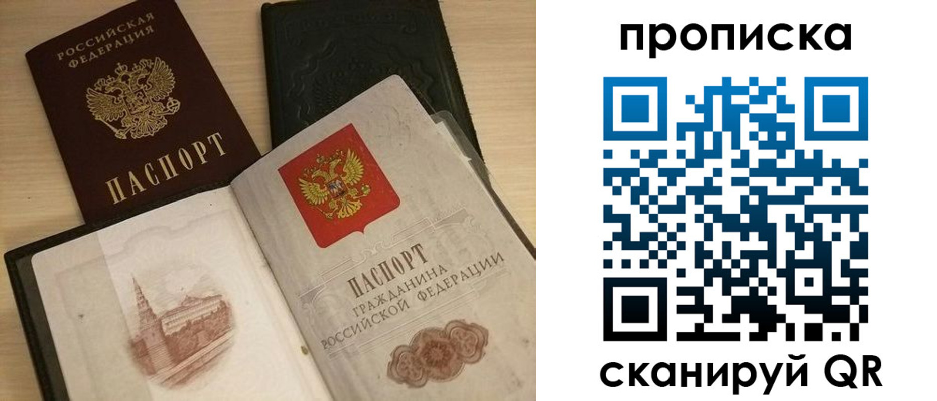 прописка в квартире в Ртищево