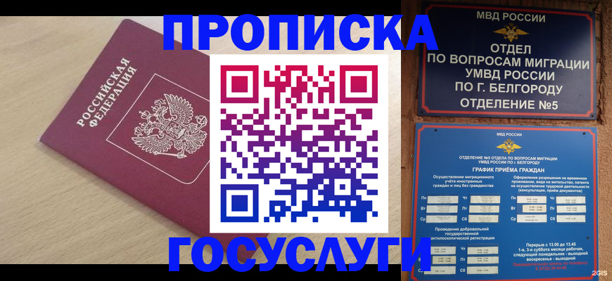 прописка законно в Ртищево